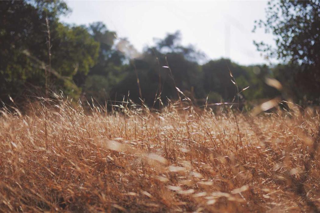 Ratione voluptate repellat et consequatur odio magni et eum