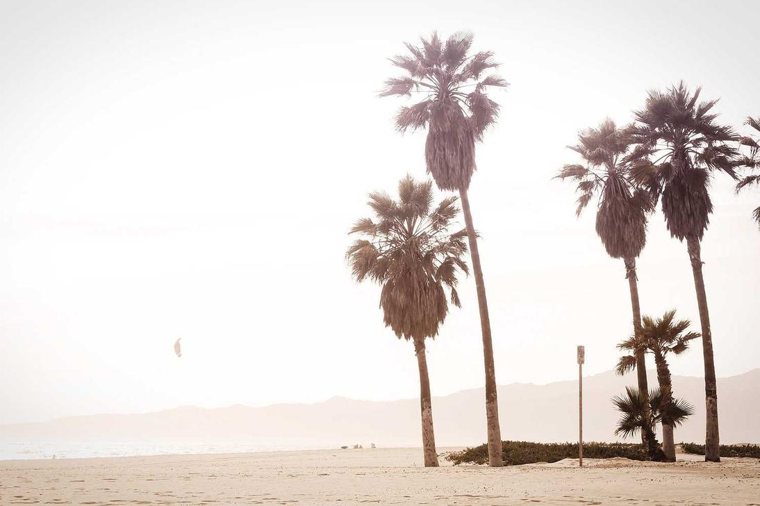 Facere reprehenderit sint quibusdam illum totam dolor autem possimus quia