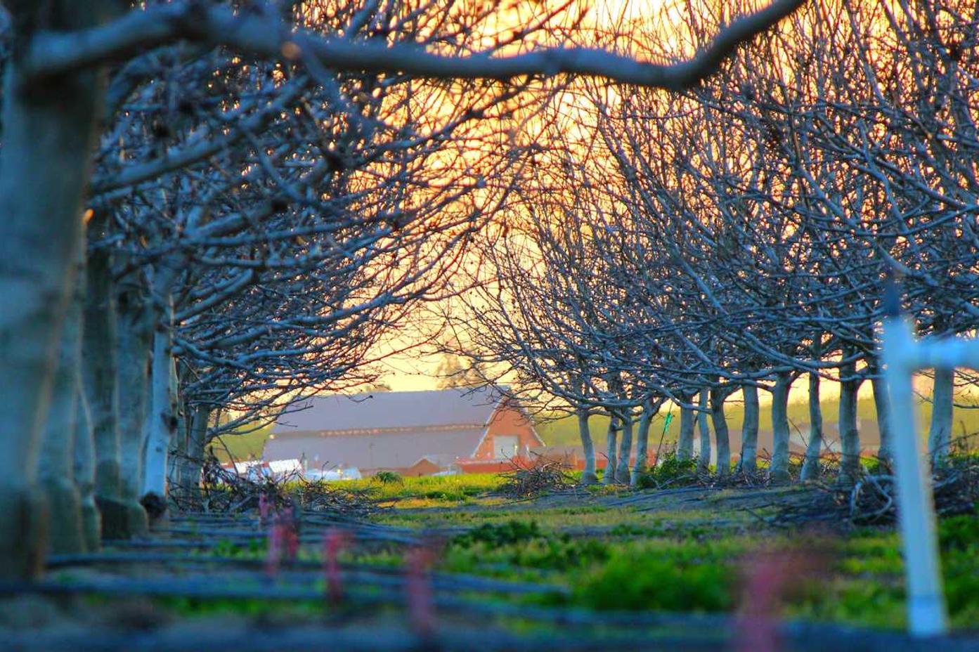 Patrocínio - Canais Digitais